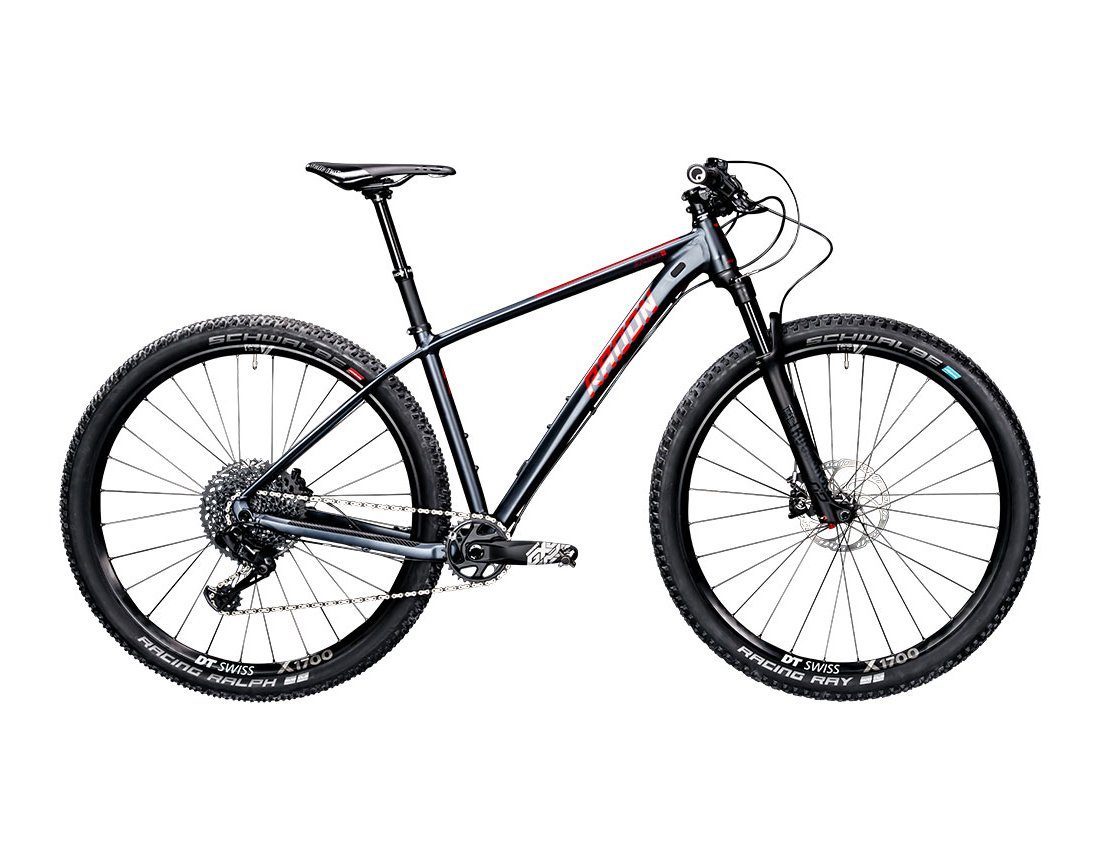 Bicicleta Radon Jealous AL 10.0