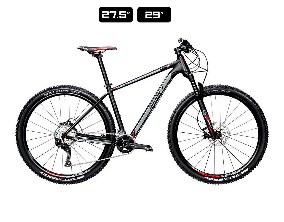 Bicicleta-Radon-ZR-Team-8.0